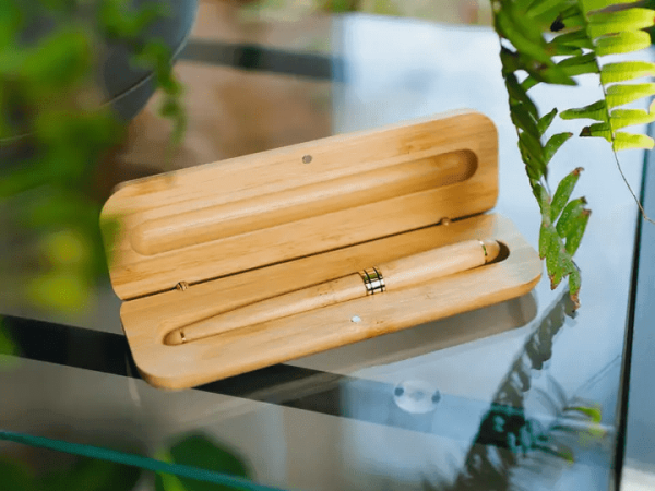 Bamboo Switch Bamboo Pen & Case