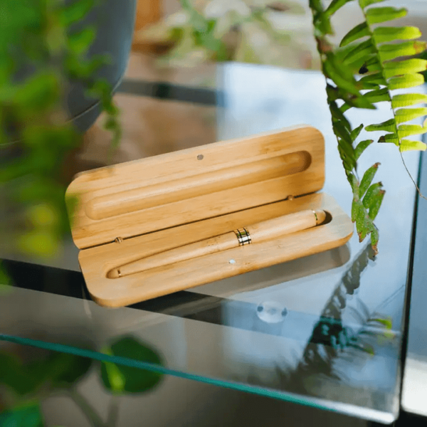 Bamboo Switch Bamboo Pen & Case