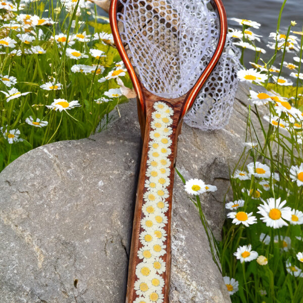 Daisy Fishing Net in a field