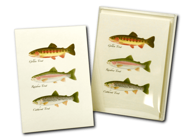Trout Trio Cards