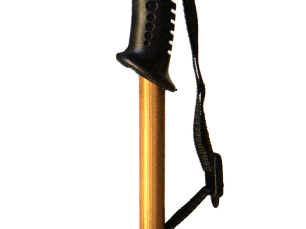 Bamboo Walking Stick