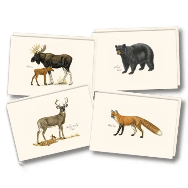 Mammals Assortment Note Cards