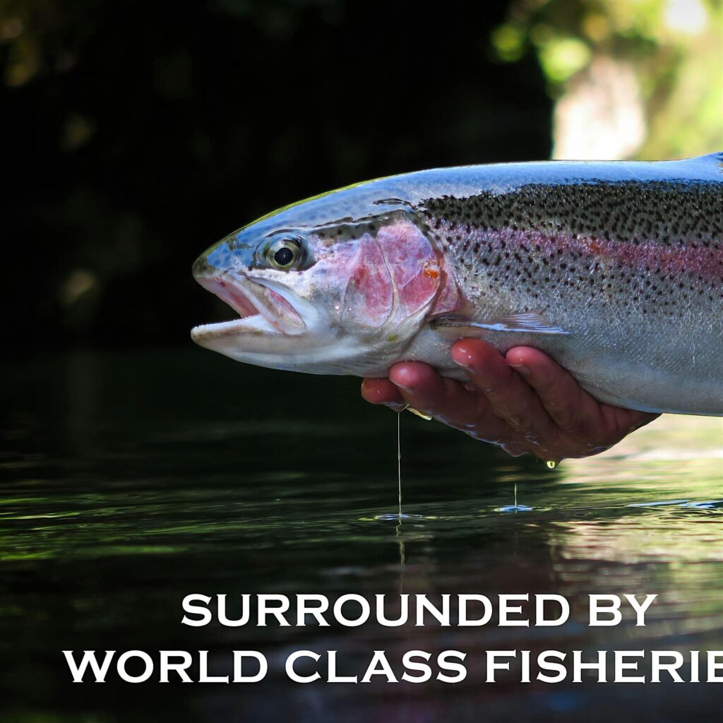 Pagosa Springs, Colorado is surrounded by world class fly fishing.