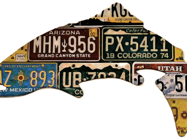 Cody Richardson Design License Plate Trout
