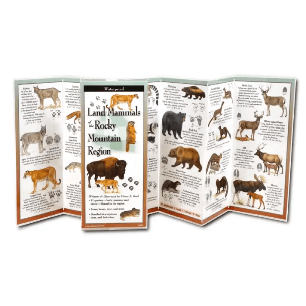 Land Mammals of the Rocky Mountain Region - PJ's Fine Bamboo Rods